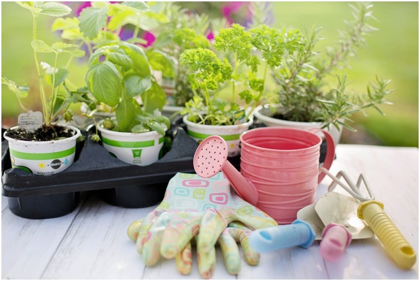 7 Useful Gardening Tools And Accessories To Get For Your Garden At Home