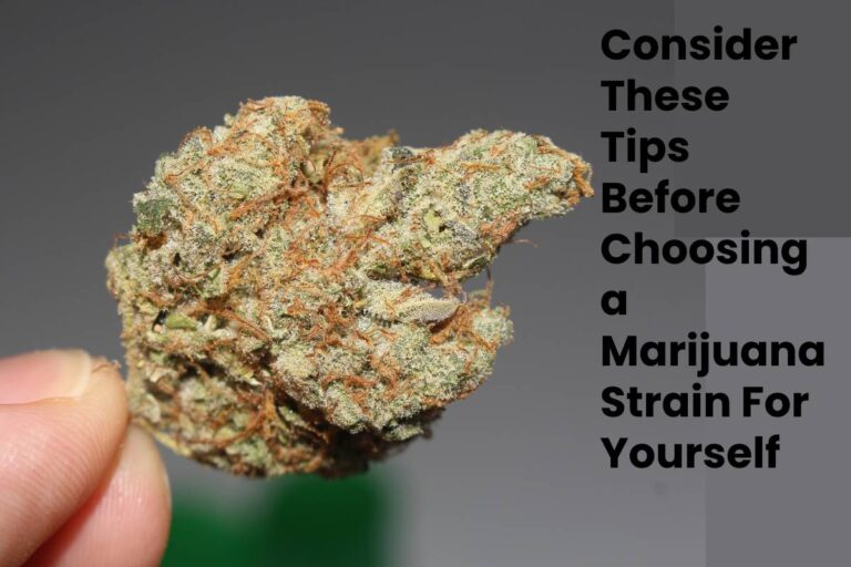 Consider These Tips Before Choosing a Marijuana Strain For Yourself