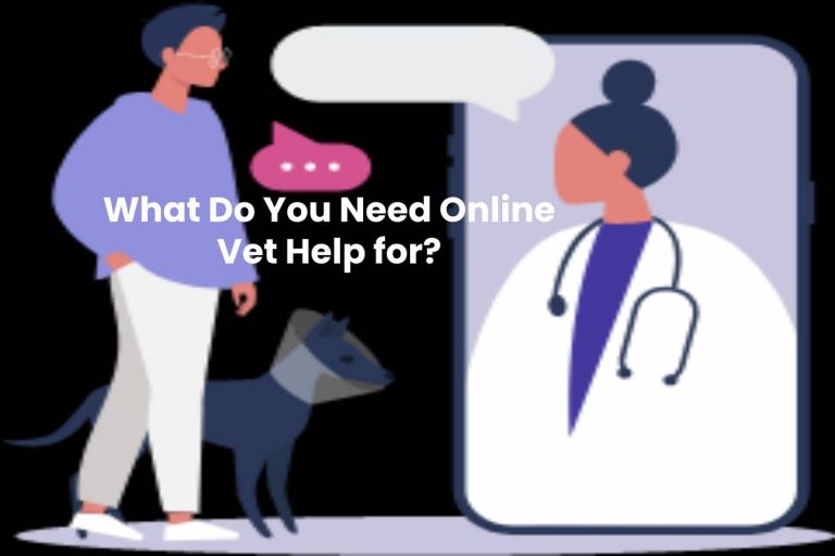 What Do You Need Online Vet Help for?    