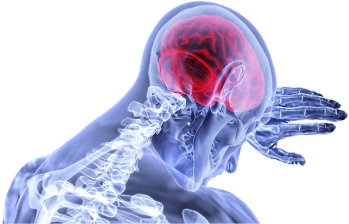 How Does Chiropractic Stimulate the Brain_