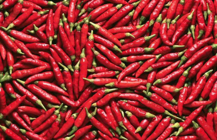 Wellhealthorganic.Com:Red-Chilli-You-Should-Know-About-Red-Chilli-Uses-Benefits-Side-Effects