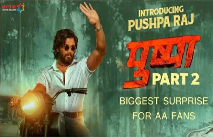 What Will Happen In Pushpa 2