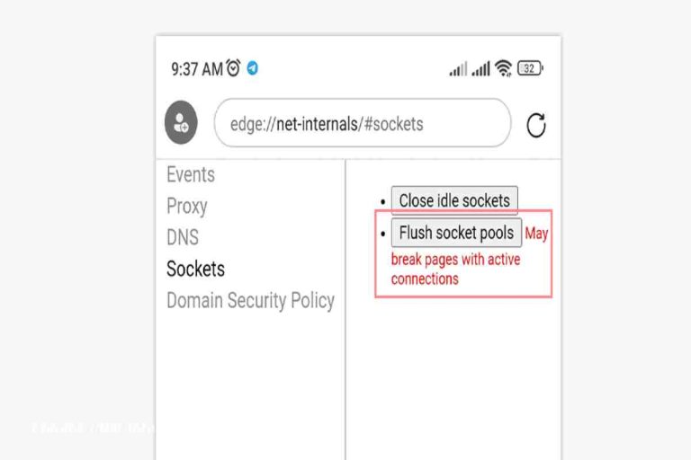 Chrome //Net-Internals/#Dns Not Working