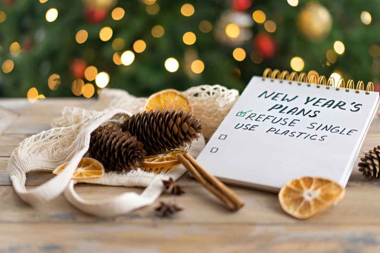 How to Live More Sustainably in the New Year
