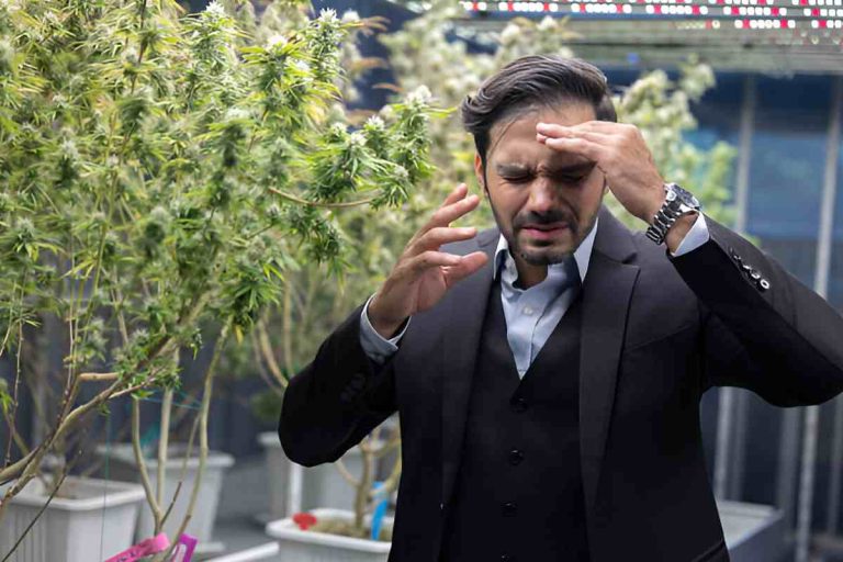 Stress, successfully treated with CBD. Learn how.