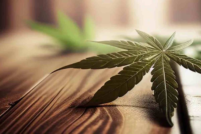 A Complete Guide to Selecting the Most Appropriate Type of Weed for a Certain Time of Day